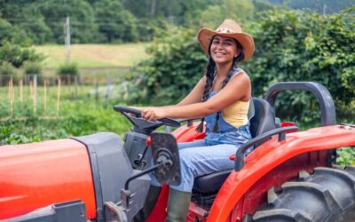 Comment choisir un taille-haie pour tracteur adapté à ses besoins agricoles : zoom sur les supports et accessoires