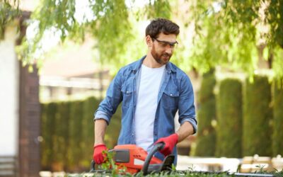 Débroussaillage et biodiversité : comment préserver l’équilibre du jardin ?